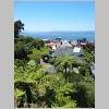Wellington 023.jpg